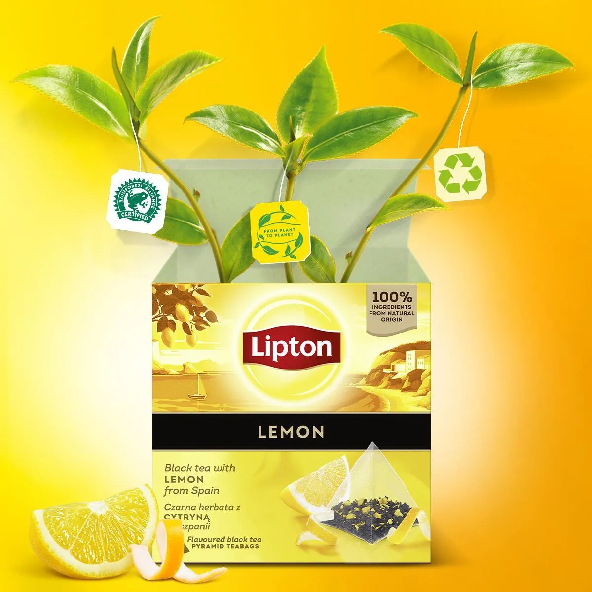 Herbata Lipton czarna z hiszpańską cytryną 20 saszetek - obrazek 4
