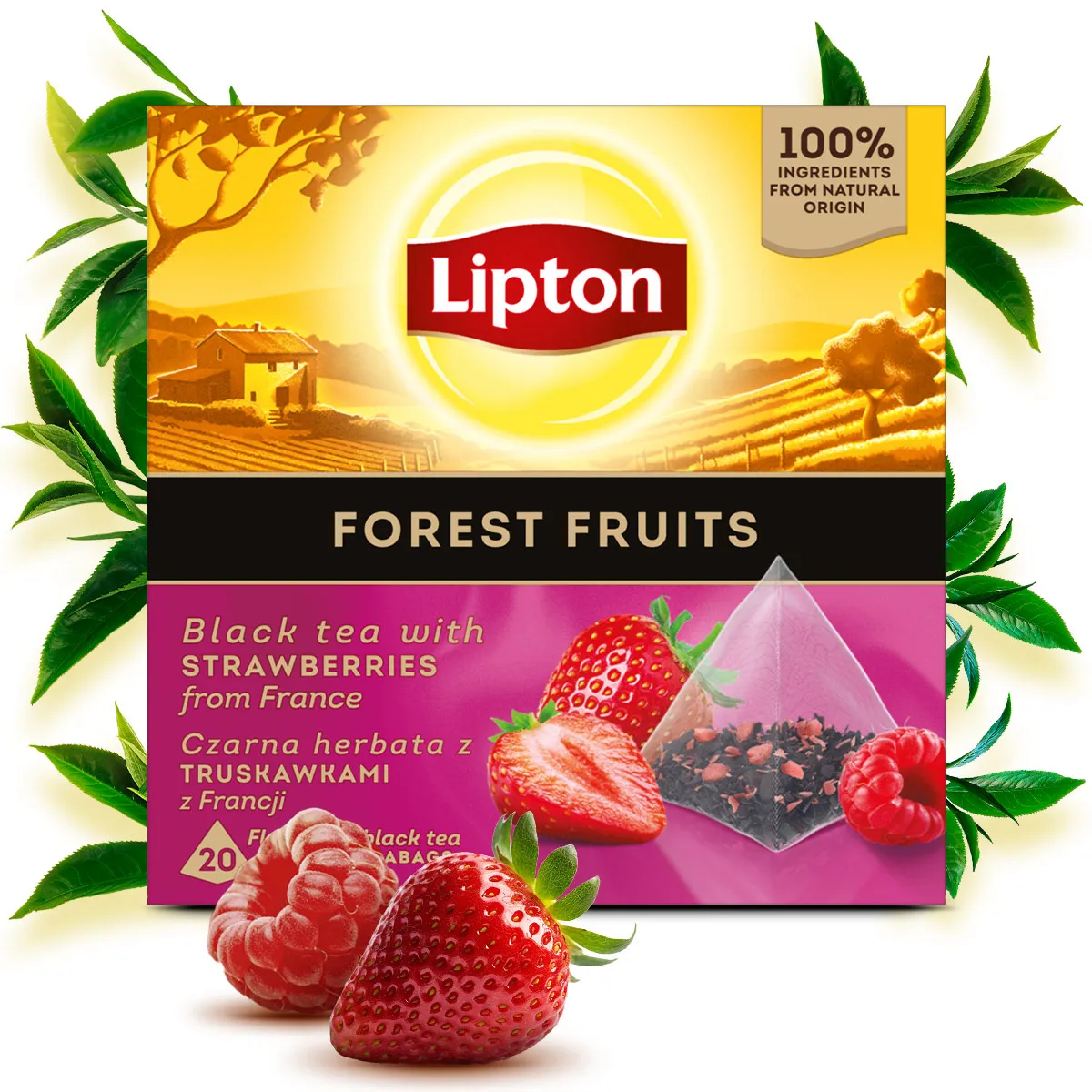 Herbata Lipton czarna Forest Fruit owoce leśne 20 saszetek - obrazek 2