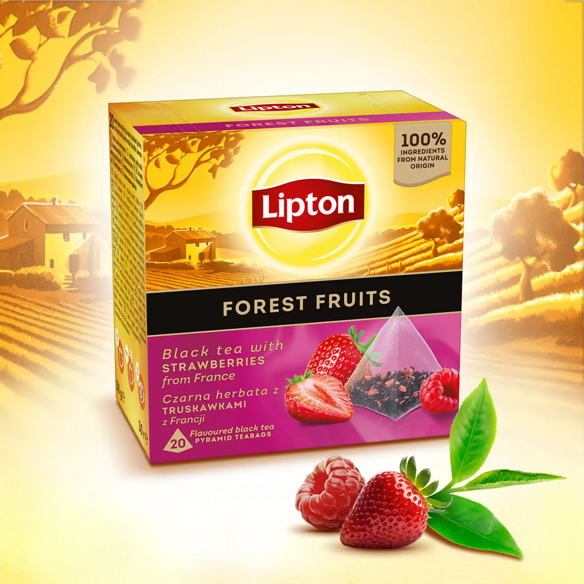 Herbata Lipton czarna Forest Fruit owoce leśne 20 saszetek - obrazek 3