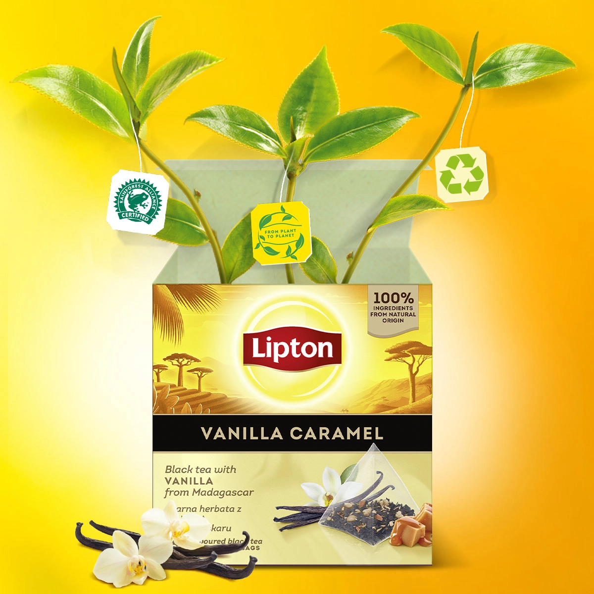 Herbata Lipton czarna vanilla carmel 20 saszetek - obrazek 3